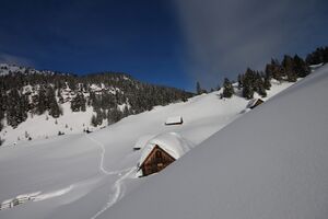 Duisitzkar 2849 2009-02-26.jpg