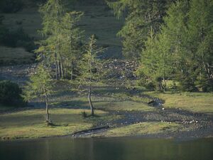 Duisitzkarsee 18127 2006-09-21.jpg