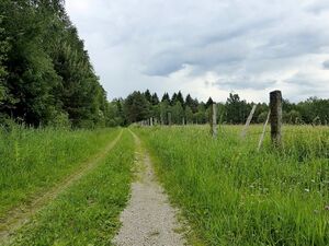 Ennsau Fischern1120645.JPG