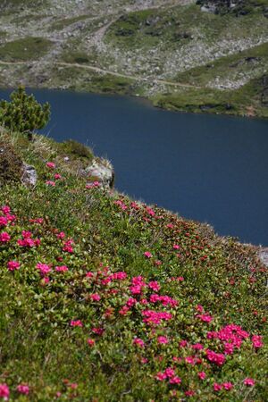 Giglachsee 1232 2011-06-22.jpg
