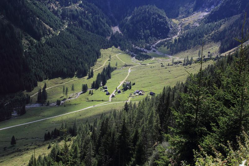 Datei:Graffelbichl sattentalalm 56676 2017-08-25.jpg