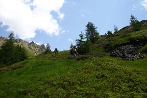 Im Hüttkar 39620 2012-06-29.jpg