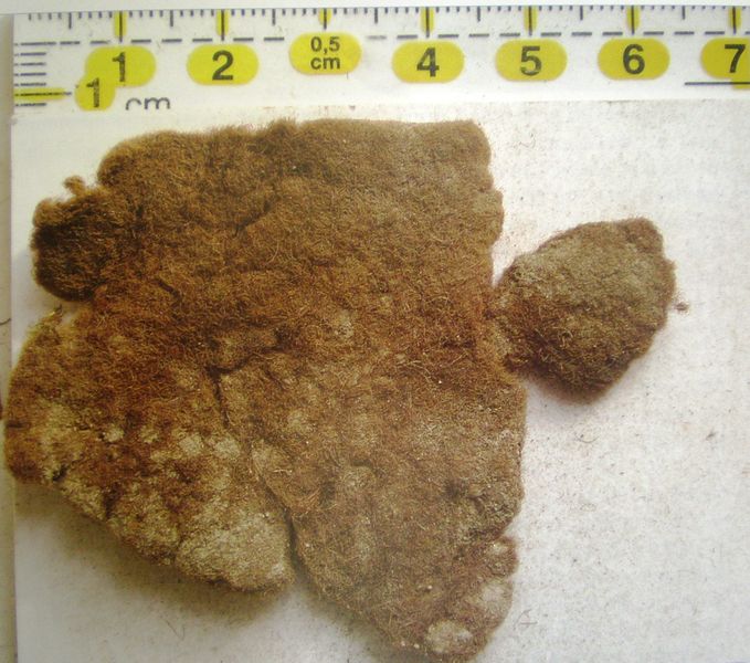 Datei:Knappenkar Gewebe 2.jpg