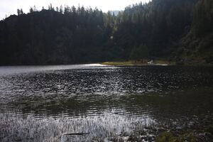Landauersee 14769 2011-08-31.jpg