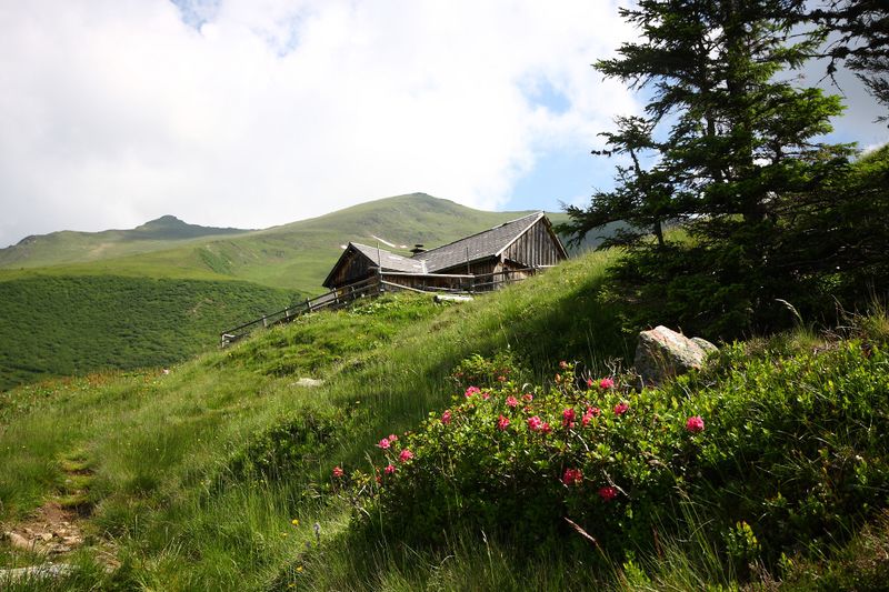 Datei:Mahdfeldalm 2569 13-07-09.jpg