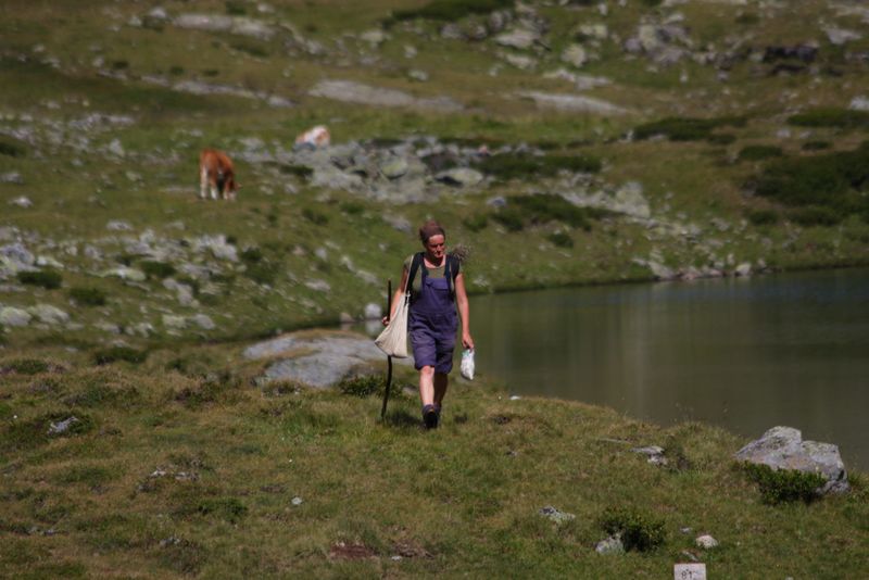 Datei:Oberer lanschitzsee 98081 2011-08-12.jpg