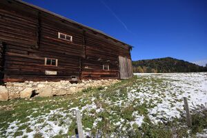 Prechtl-lehen wörschachwald 62968 2017-10-31.jpg