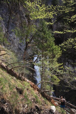 Wasserlochklamm palfau 70495 2018-04-23.jpg