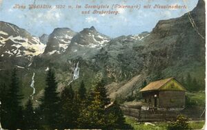 Ansichtskarte-haus i ennstal-605.jpg