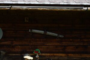 Beireutalm 90065 2015-06-08.jpg