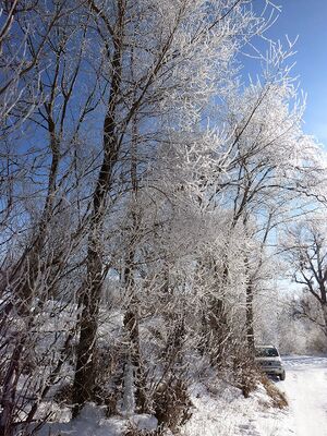 Ennsau Trautenfels1340711.JPG