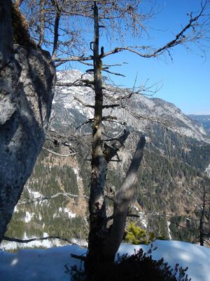 Freienstein-hofer 1521.jpg