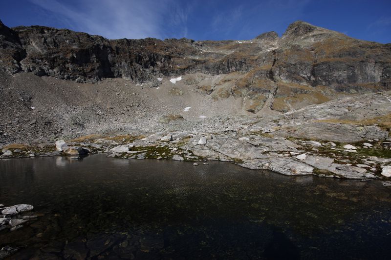 Datei:Goldlacken 0323 2013-10-08.jpg