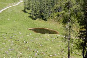 Große wiesmahd-0240-2022-06-12.jpg