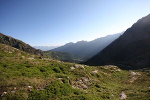Innere Alm 26209 2010-07-21.jpg