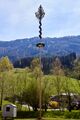 Maibaum döllach-300443-2023-05-04.jpg