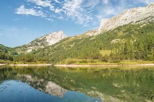 Manuel Capellari CAP1509011043221.jpg