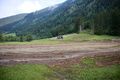 Mure Untertal-084-2026-06-30.jpg