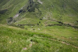 Plientensattel 955 13-08-05.jpg