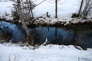 PreuneggbachIMG 0168.jpg