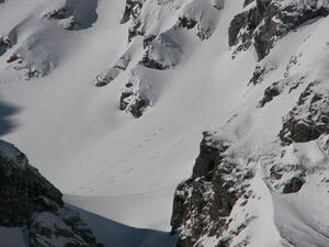 Schnabelkar 3750 2007-02-17.jpg