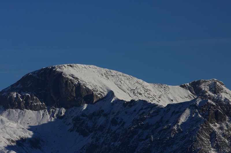 Datei:Sinabell -hochwurzen 36827 2016-11-15.jpg
