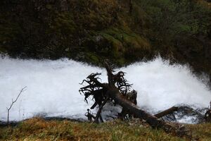 Wasserlochklamm palfau 70428 2018-04-23.jpg