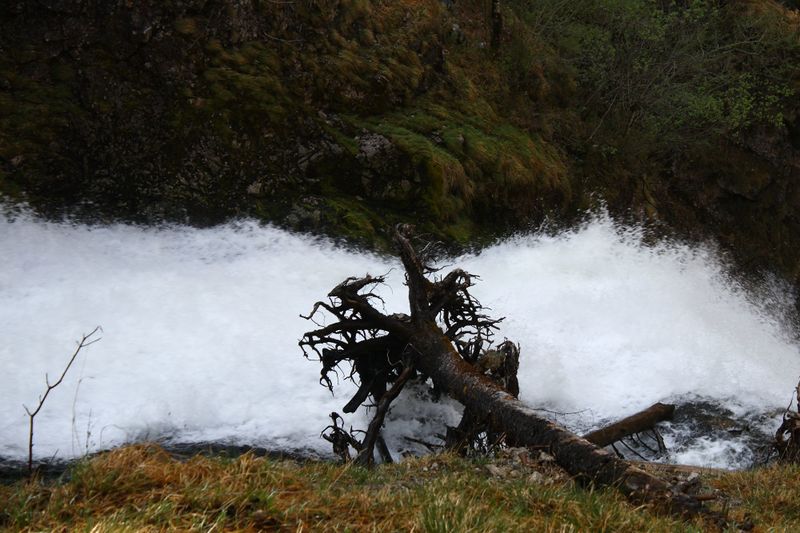 Datei:Wasserlochklamm palfau 70428 2018-04-23.jpg