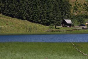 Bodensee 30234 2011-08-02.jpg