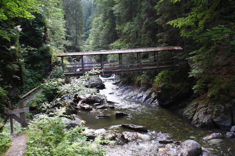 Datei:Donnersbachklamm 72851 2014-06-18.jpg