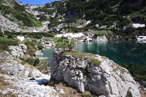 Dreibrüdersee 77441 2018-06-04.jpg