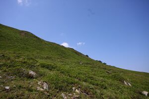 Glatt 1141 13-08-06.jpg