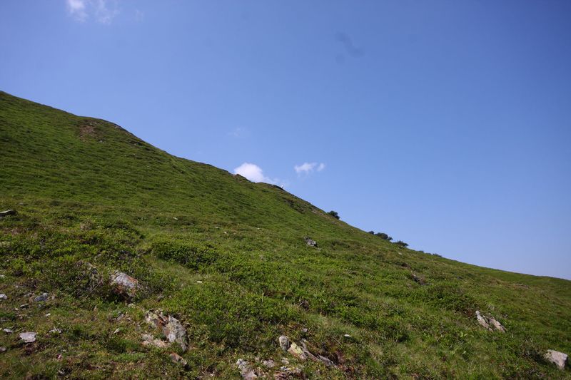 Datei:Glatt 1141 13-08-06.jpg