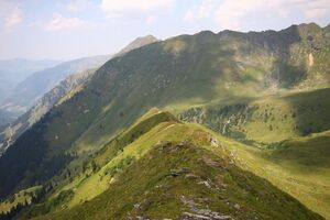 Glatt 1164 13-08-06.jpg