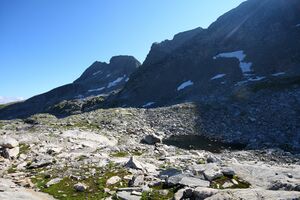 Goldlacken 0389 2008-08-12.jpg