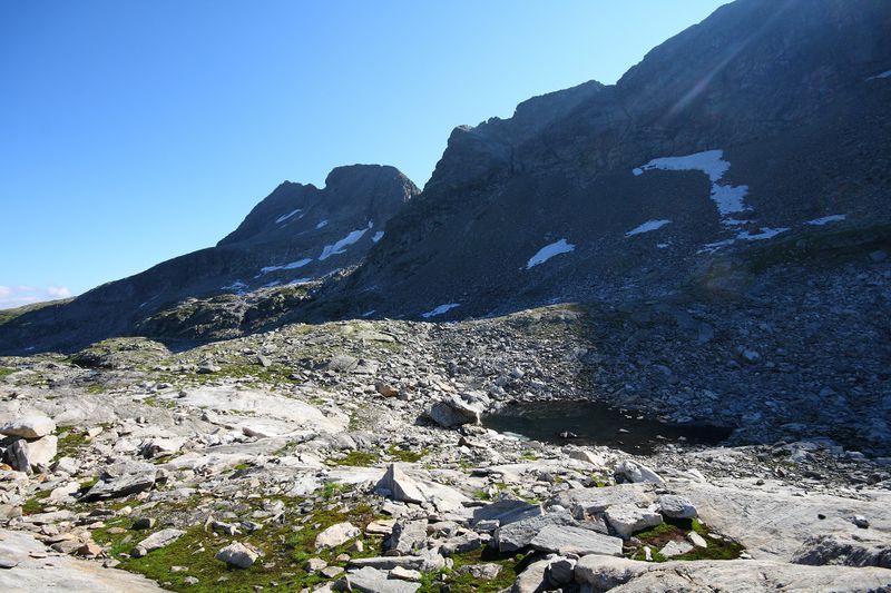 Datei:Goldlacken 0389 2008-08-12.jpg