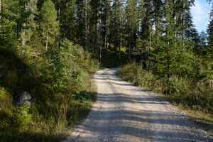 Grausen Straßen-BA-0044-2023-09-17.jpg