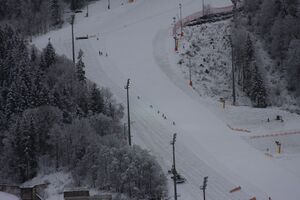 Nightrace 2014 35037 2014-01-24.jpg