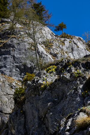 Petergstamm langkar 20-05-07 1254.jpg