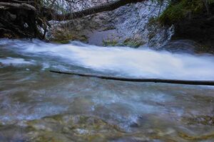 Rössingbach 1845 13-07-21.jpg