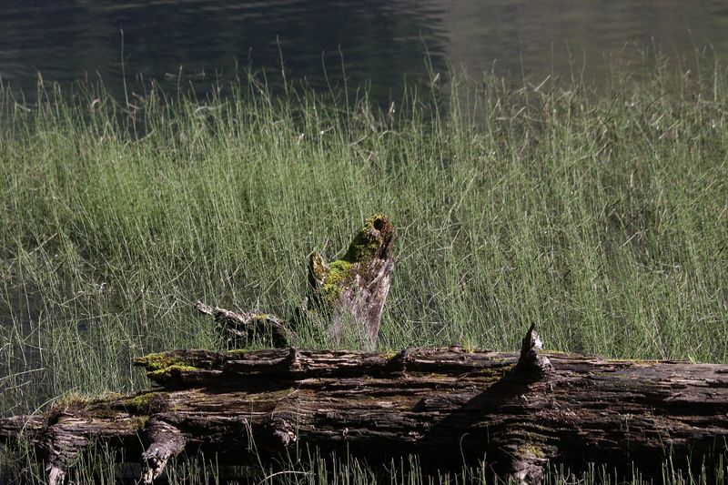 Datei:Schwarzensee kleinsölk 72556 2014-09-17.jpg