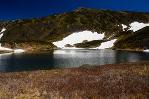 Untere riednersee-1007-2020-06-12.jpg