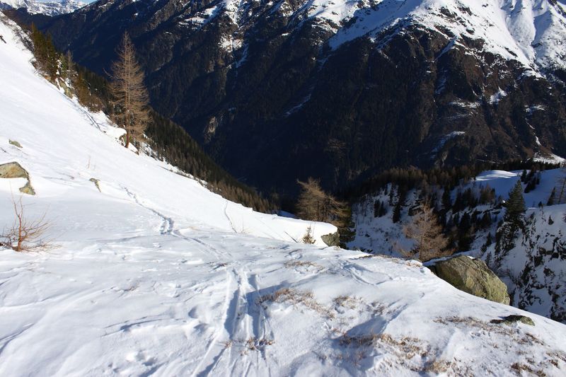 Datei:Wildkar 44999 2014-03-09.jpg