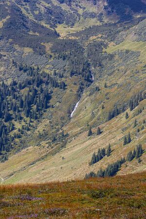 Wsf goldbach-0284-2021-09-04.jpg