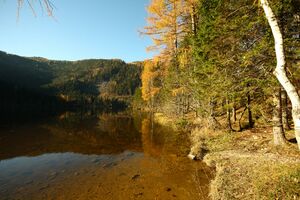 Ödensee 77944 2014-11-03.jpg