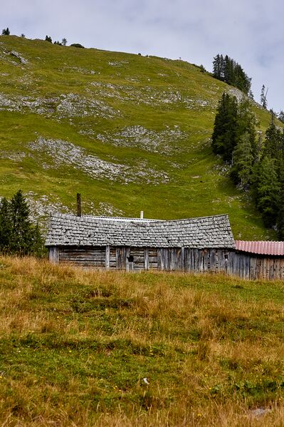 Datei:Bärenfeichtenalm-3216-2021-08-03.jpg