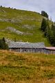 Bärenfeichtenalm-3216-2021-08-03.jpg