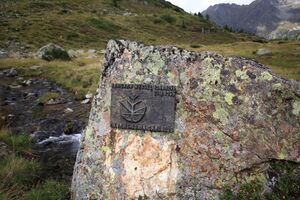 GT irmgard wessel zinkboden 55984 2017-08-22.jpg