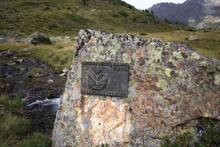 GT irmgard wessel zinkboden 55984 2017-08-22.jpg