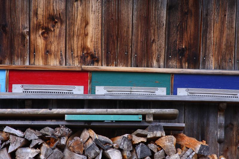 Datei:Halseralm ramsau 79445 2014-11-16.jpg